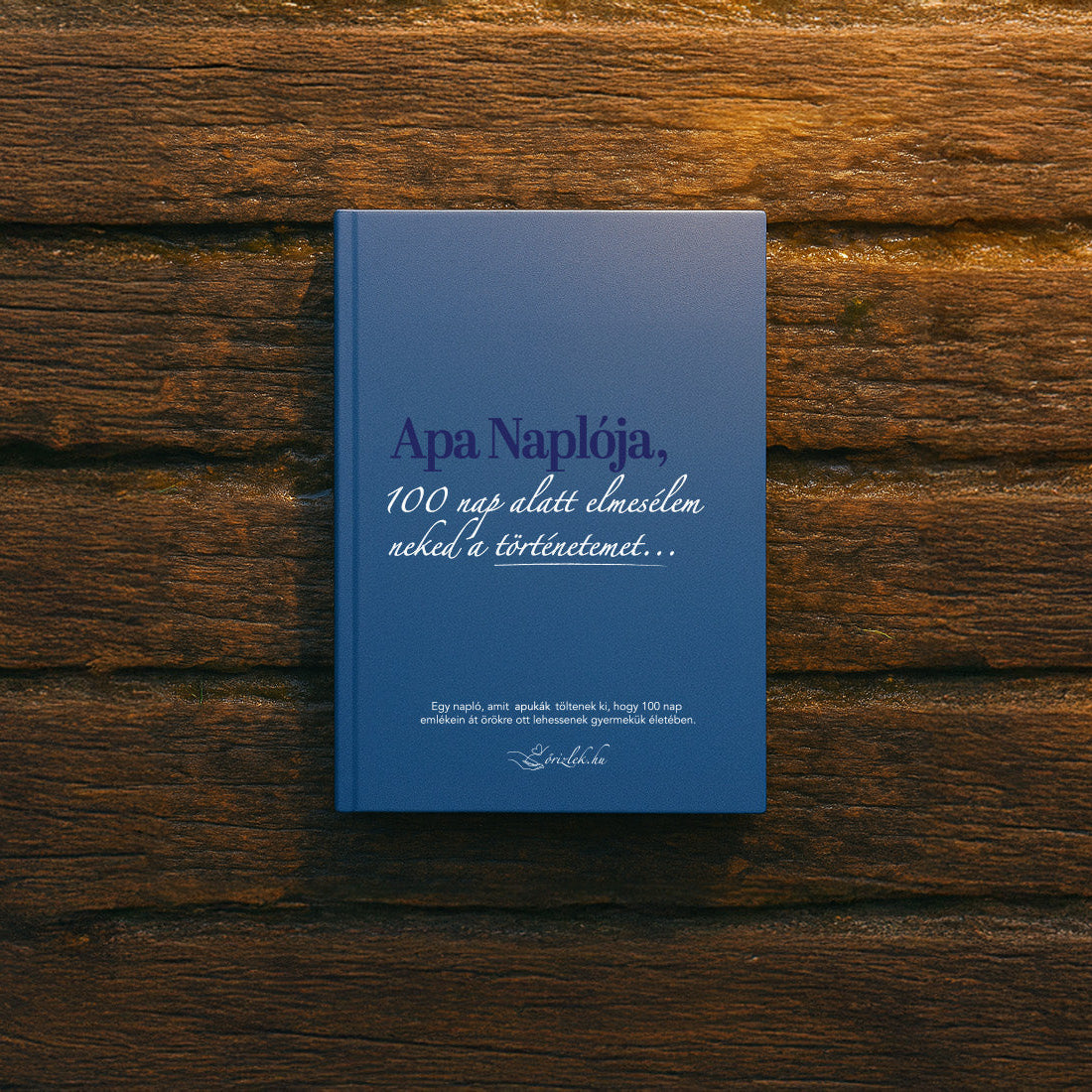 Anya Naplója : 100 nap alatt elmesélem neked a történetemet