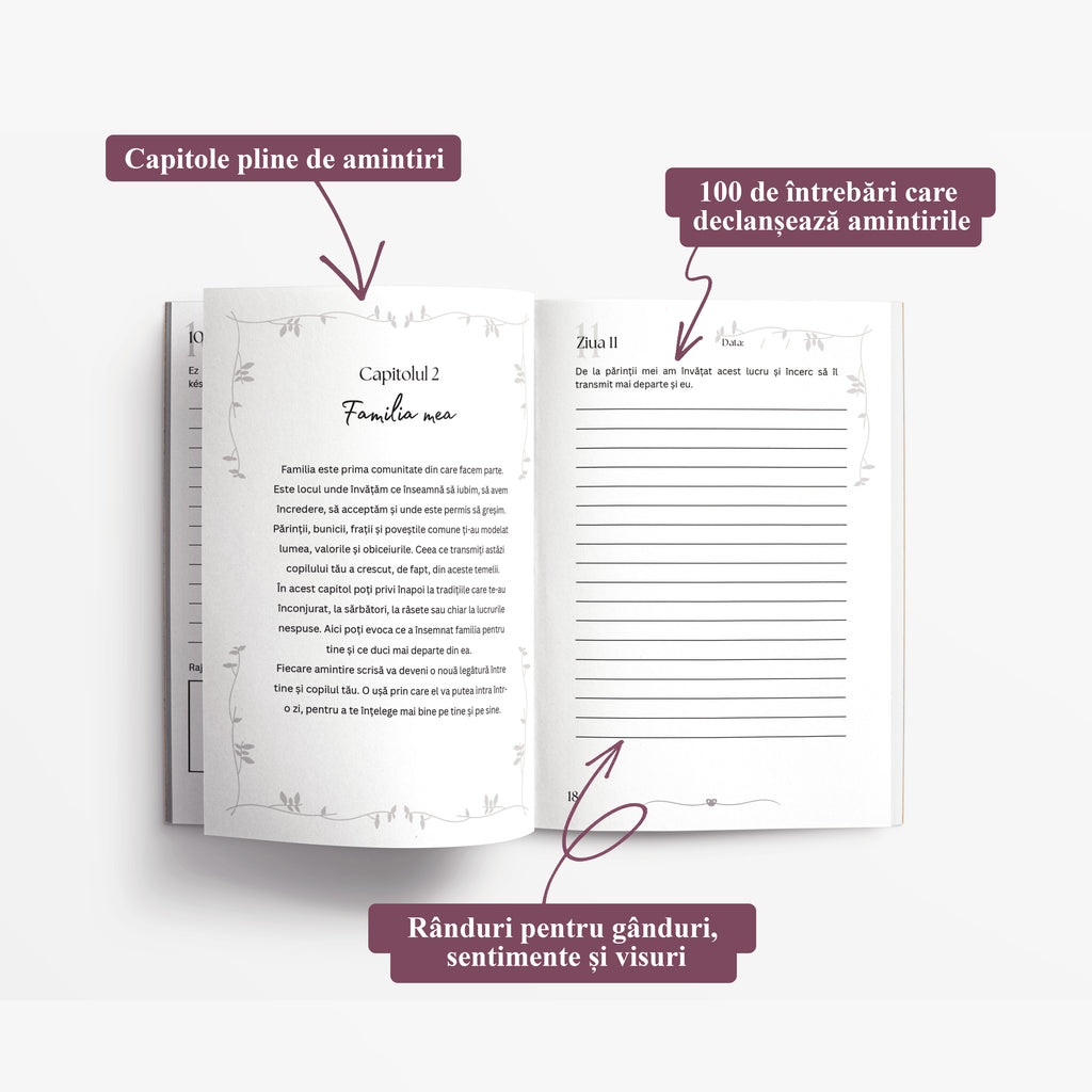 Jurnalul Mamei: în 100 de zile îți povestesc istoria mea