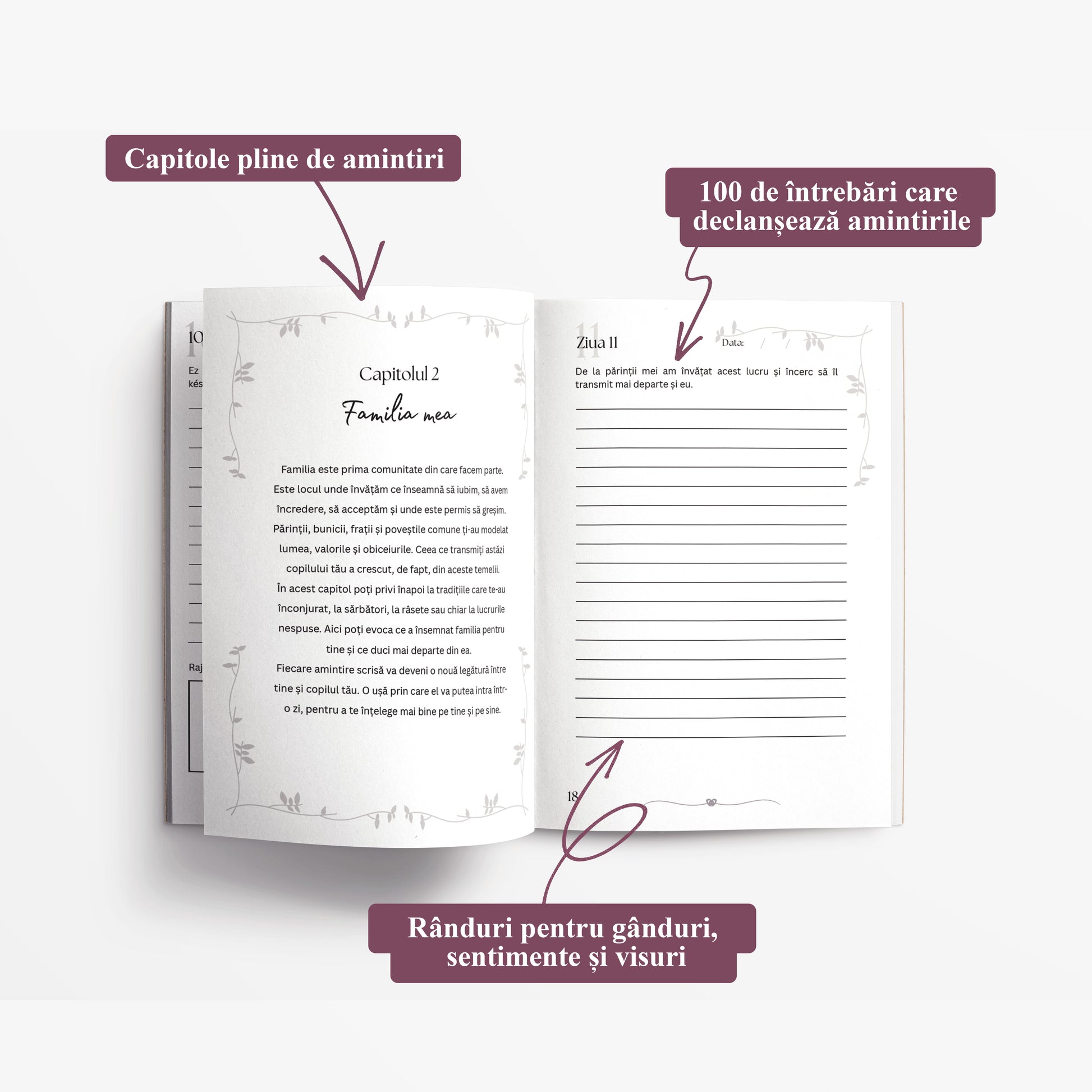 Anya Naplója : 100 nap alatt elmesélem neked a történetemet