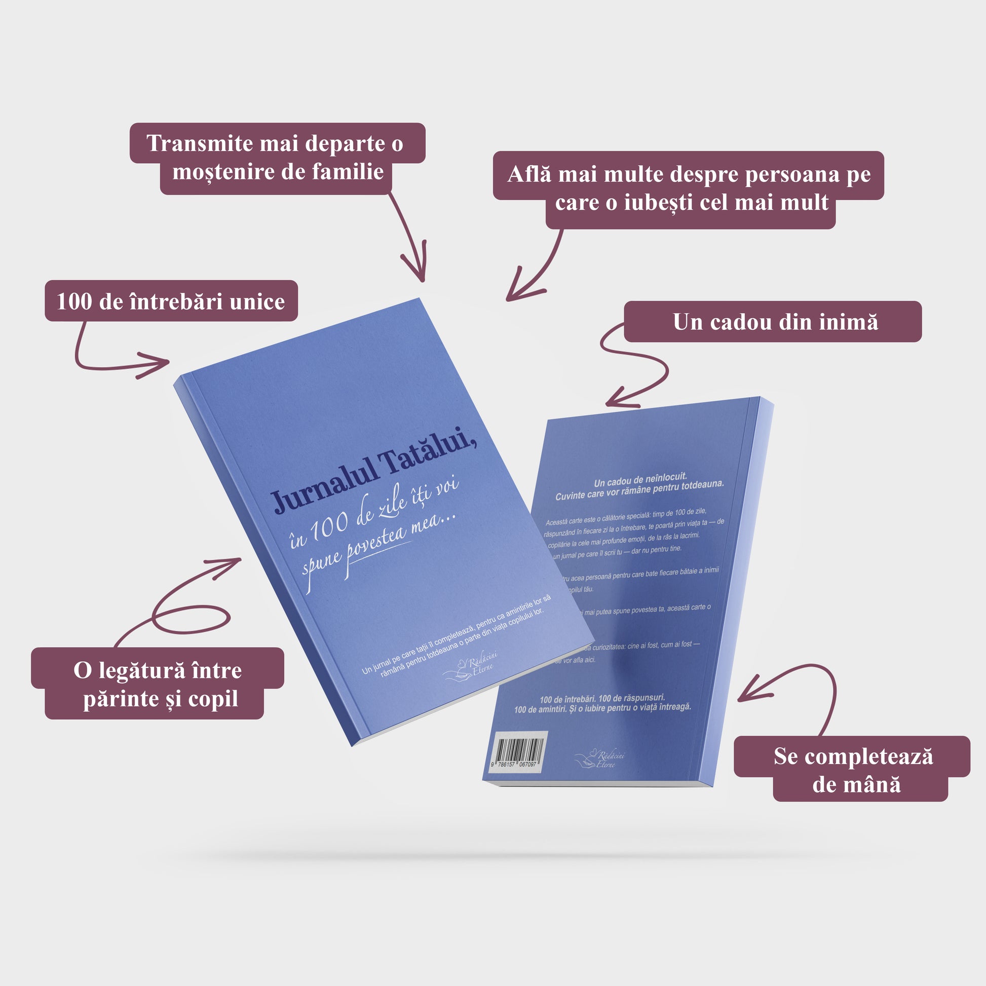 Anya Naplója : 100 nap alatt elmesélem neked a történetemet