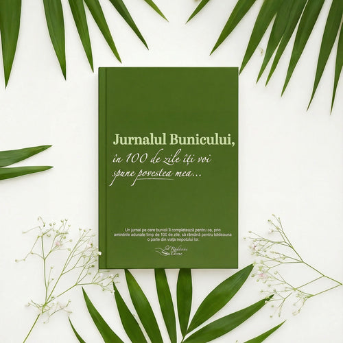 Nagypapa Naplója : 100 nap alatt elmesélem neked a történetemet