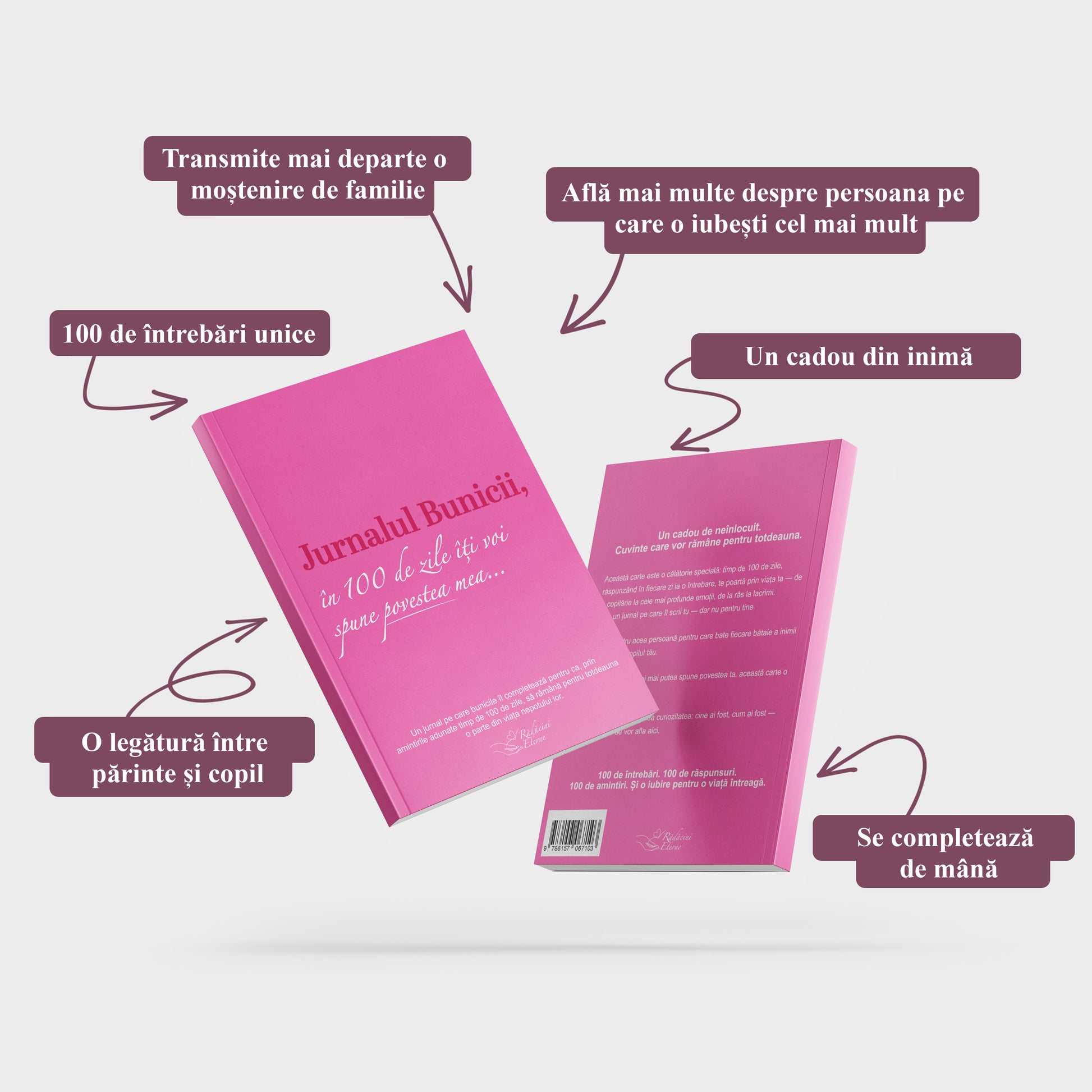 Jurnalul Bunicii: în 100 de zile îți povestesc istoria mea