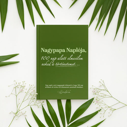 Nagypapa Naplója : 100 nap alatt elmesélem neked a történetemet