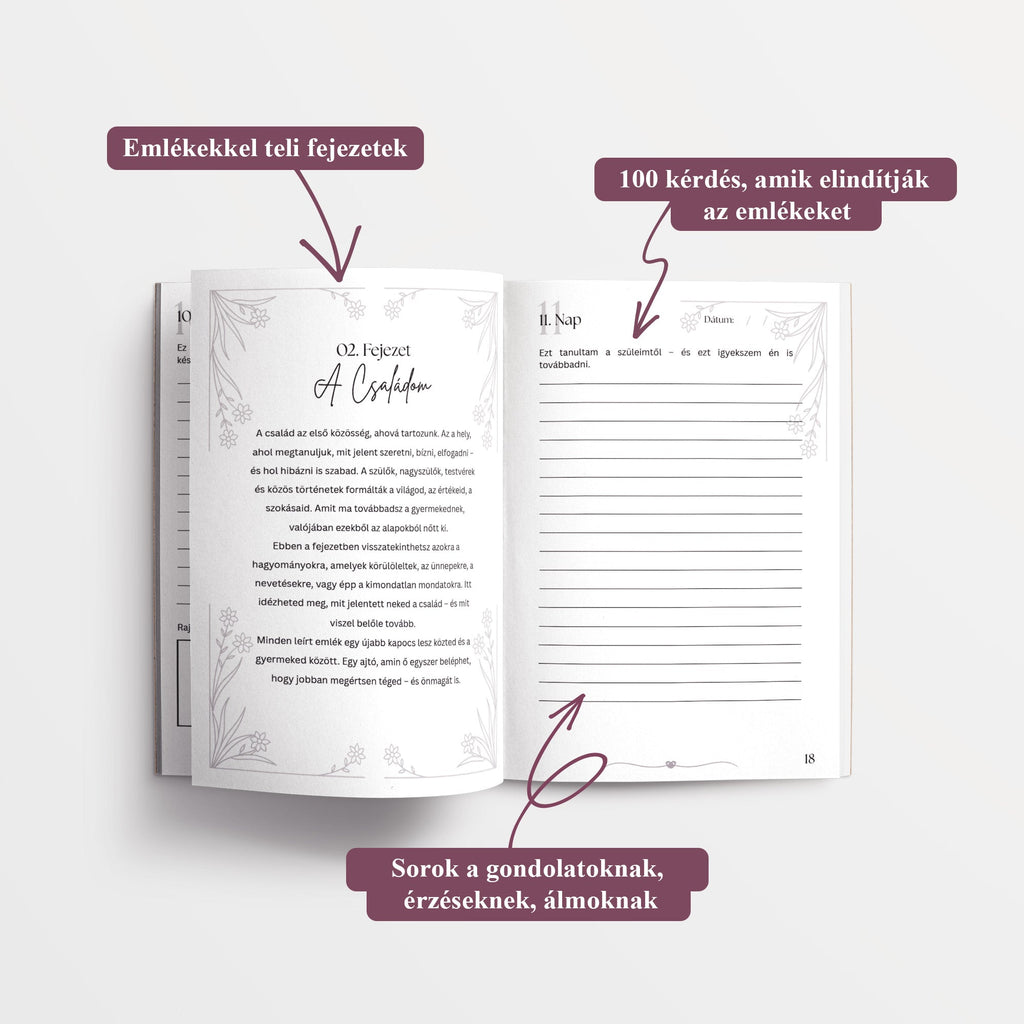 Nagymama Naplója : 100 nap alatt elmesélem neked a történetemet