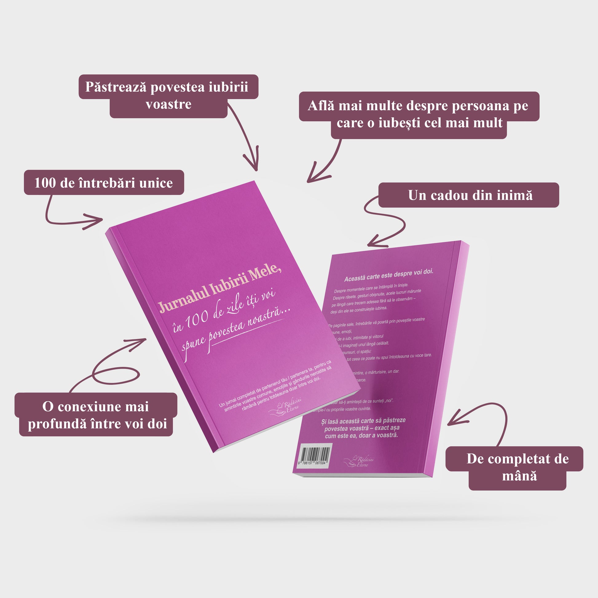 Jurnalul Iubirii mele: în 100 de zile îți povestesc istoria noastră